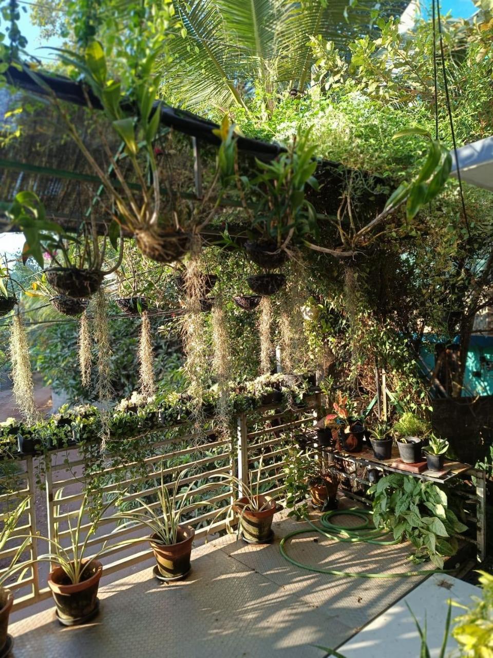 Chaithritha Ladies Homestay Thiruvananthapuram Exteriér fotografie