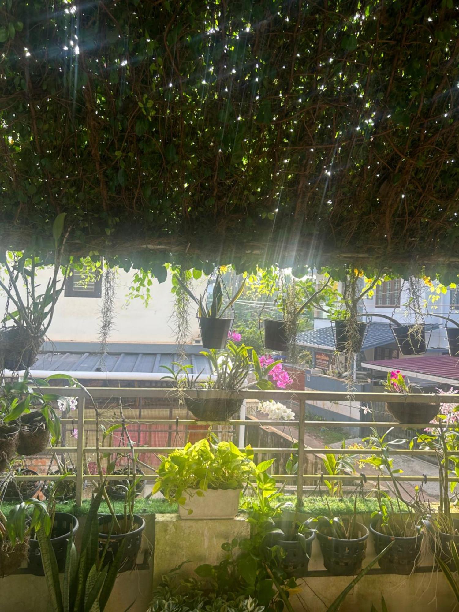 Chaithritha Ladies Homestay Thiruvananthapuram Exteriér fotografie